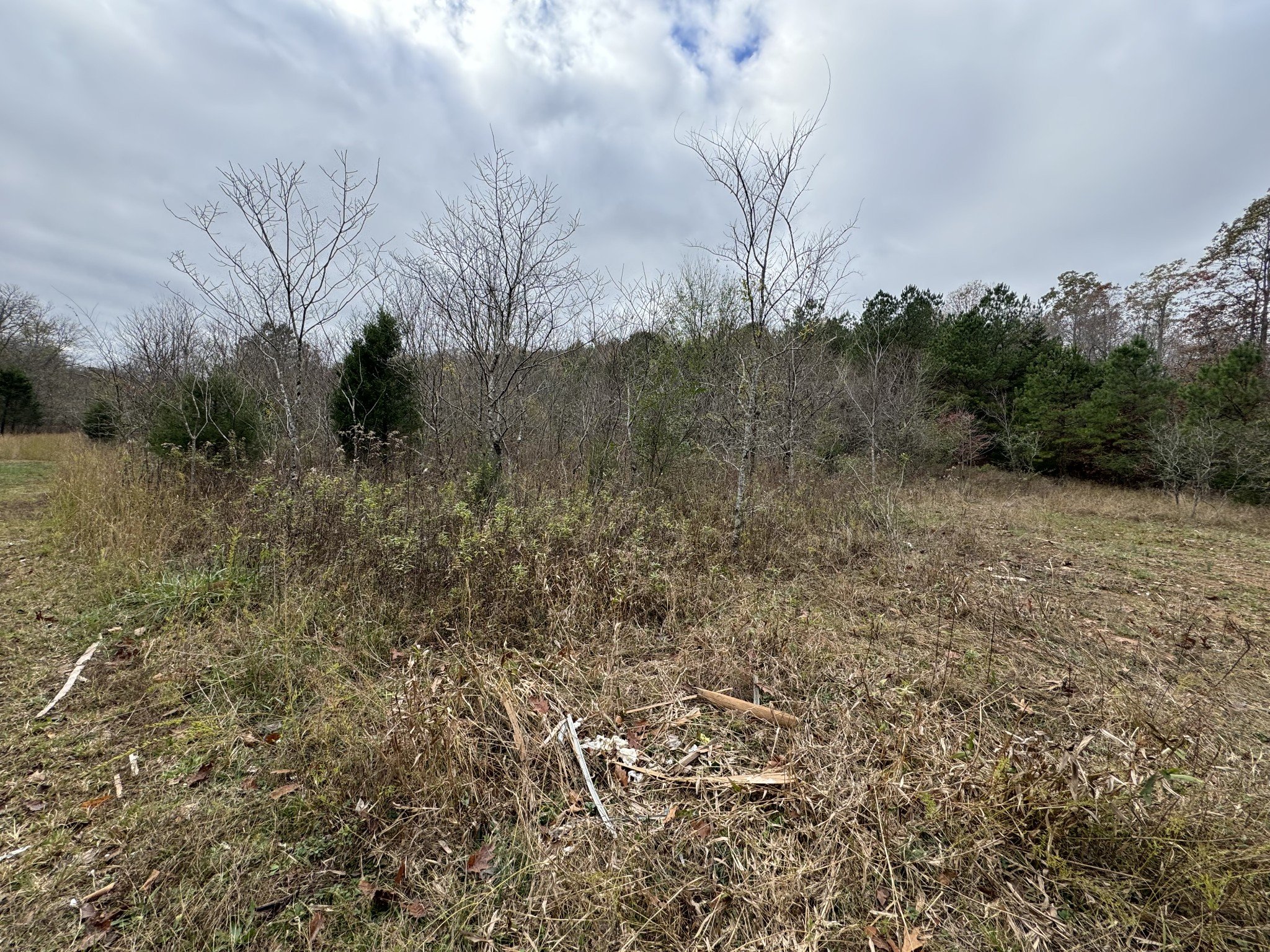 Tracy Rd, Hohenwald, TN  38462