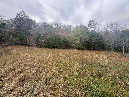 Tracy Rd, Hohenwald, TN  38462