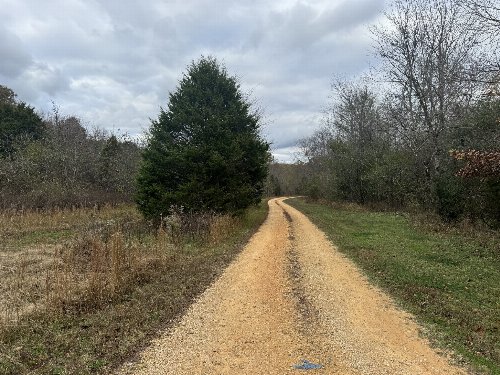 Tracy Rd, Hohenwald, TN  38462