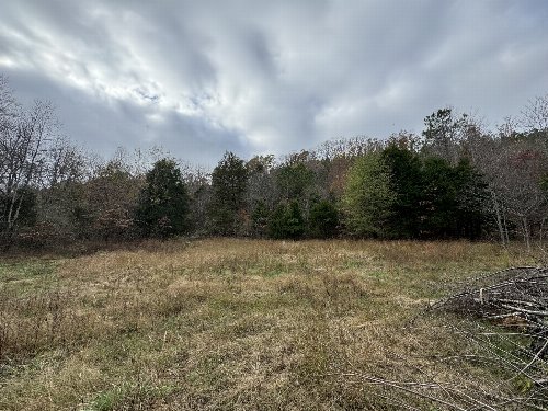 Tracy Rd, Hohenwald, TN  38462