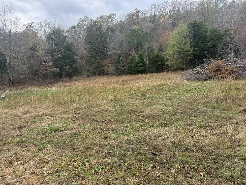 Tracy Rd, Hohenwald, TN  38462