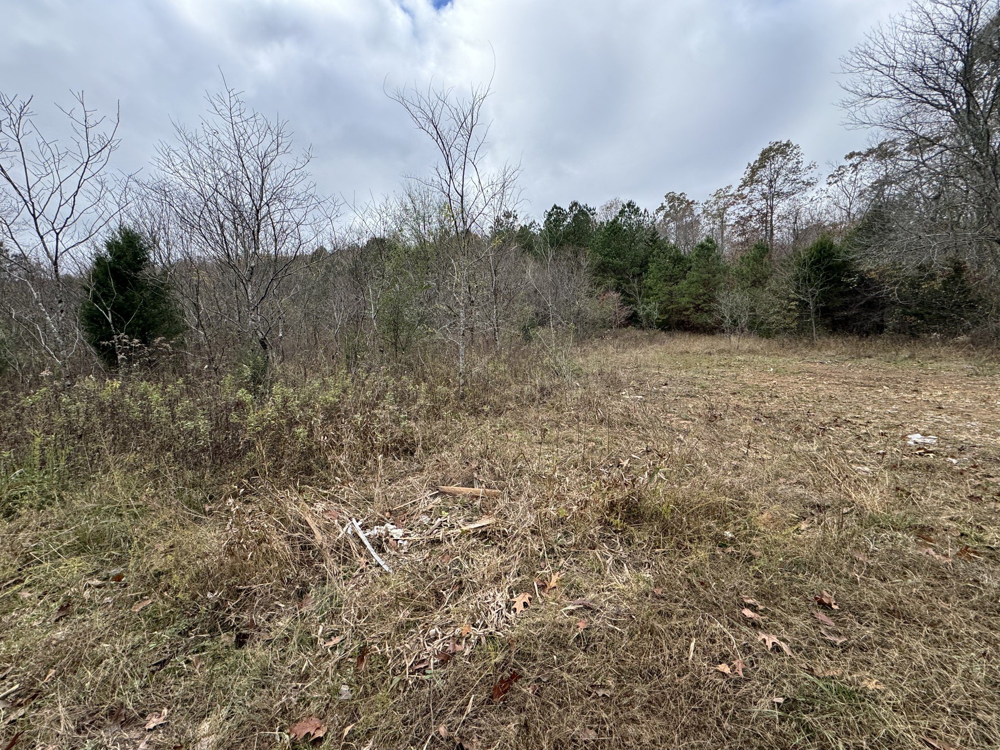 Tracy Rd, Hohenwald, TN  38462