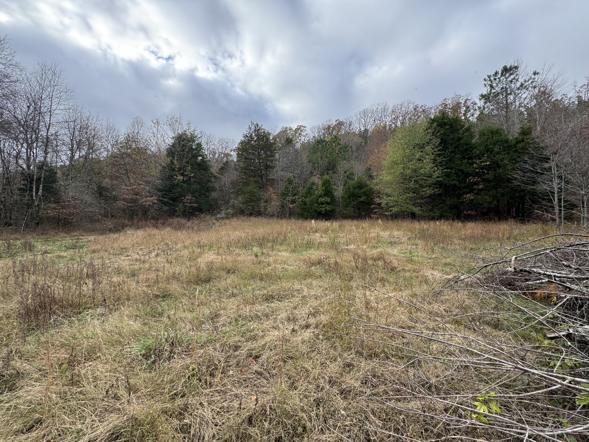 Tracy Rd, Hohenwald, TN  38462