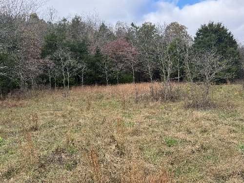 Tracy Rd, Hohenwald, TN  38462