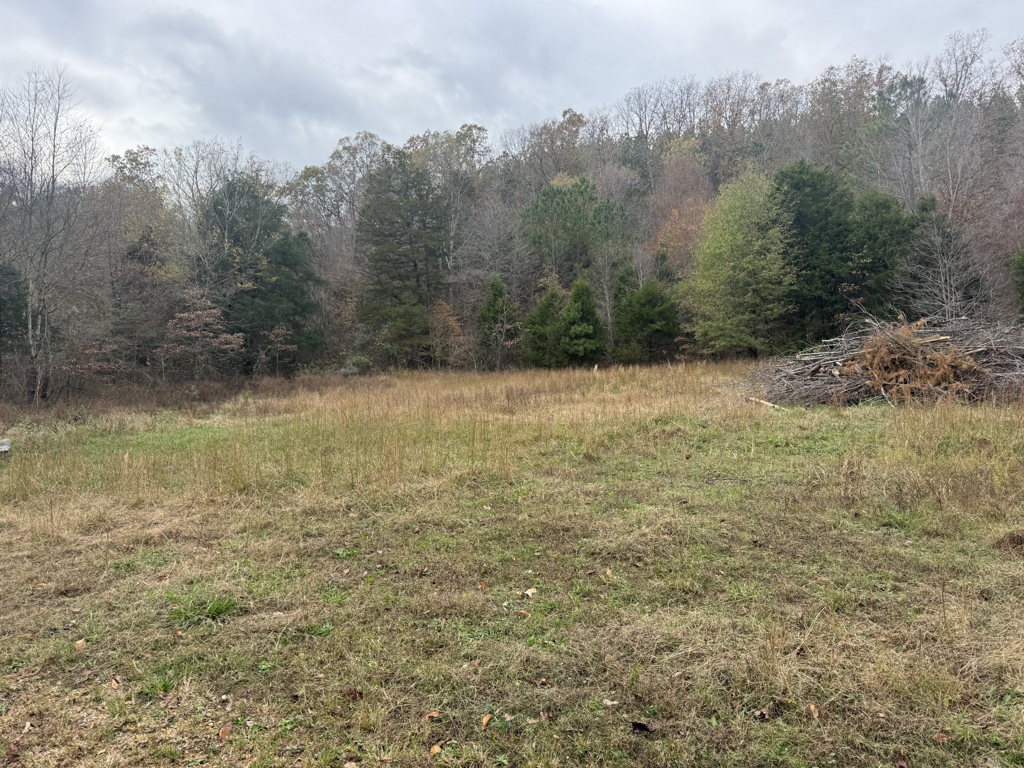 Tracy Rd, Hohenwald, TN  38462