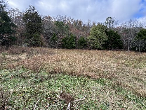 Tracy Rd, Hohenwald, TN  38462