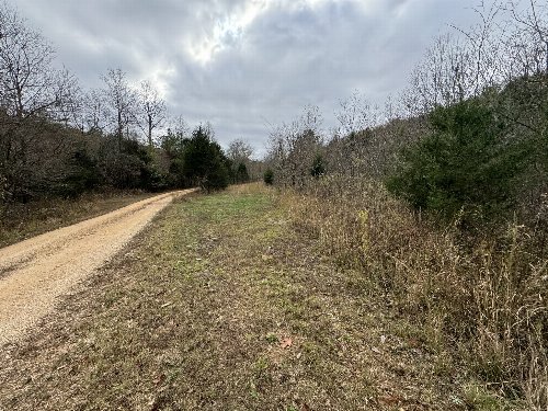 Tracy Rd, Hohenwald, TN  38462