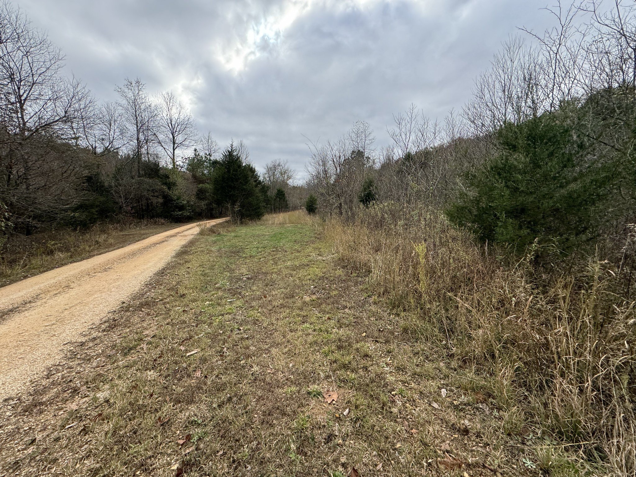 Tracy Rd, Hohenwald, TN  38462