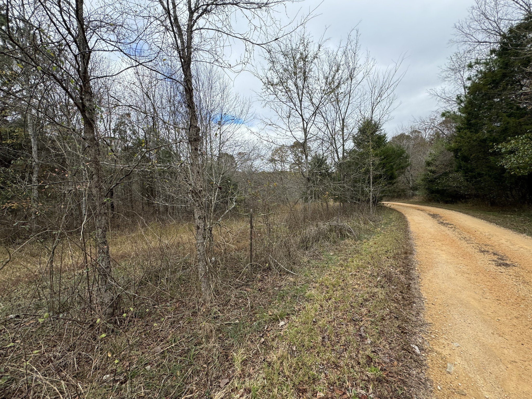 Tracy Rd, Hohenwald, TN  38462