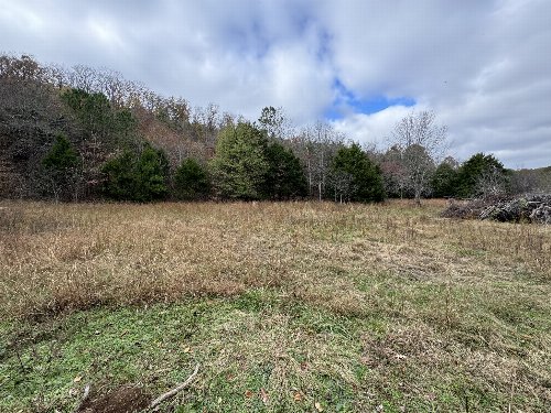 Tracy Rd, Hohenwald, TN  38462