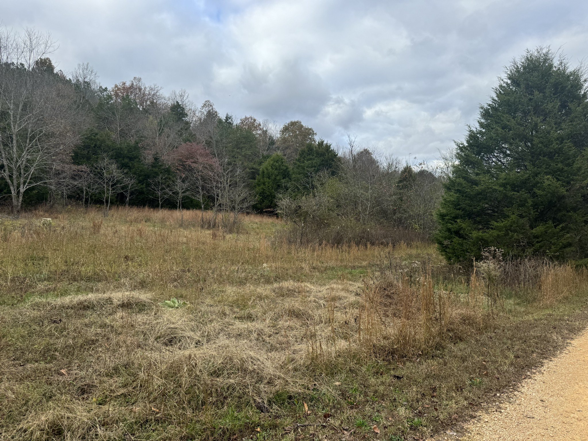 Tracy Rd, Hohenwald, TN  38462