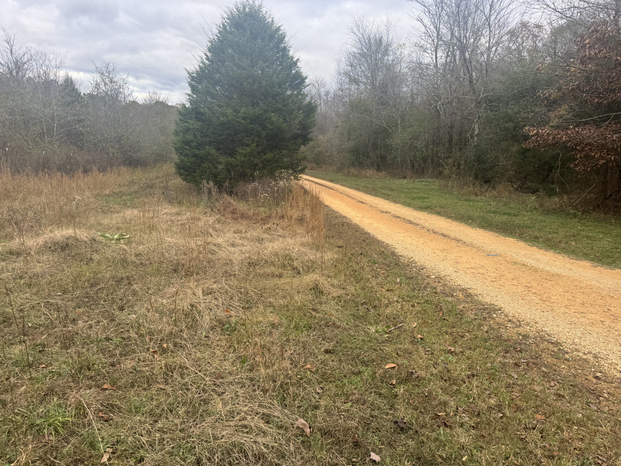 Tracy Rd, Hohenwald, TN  38462