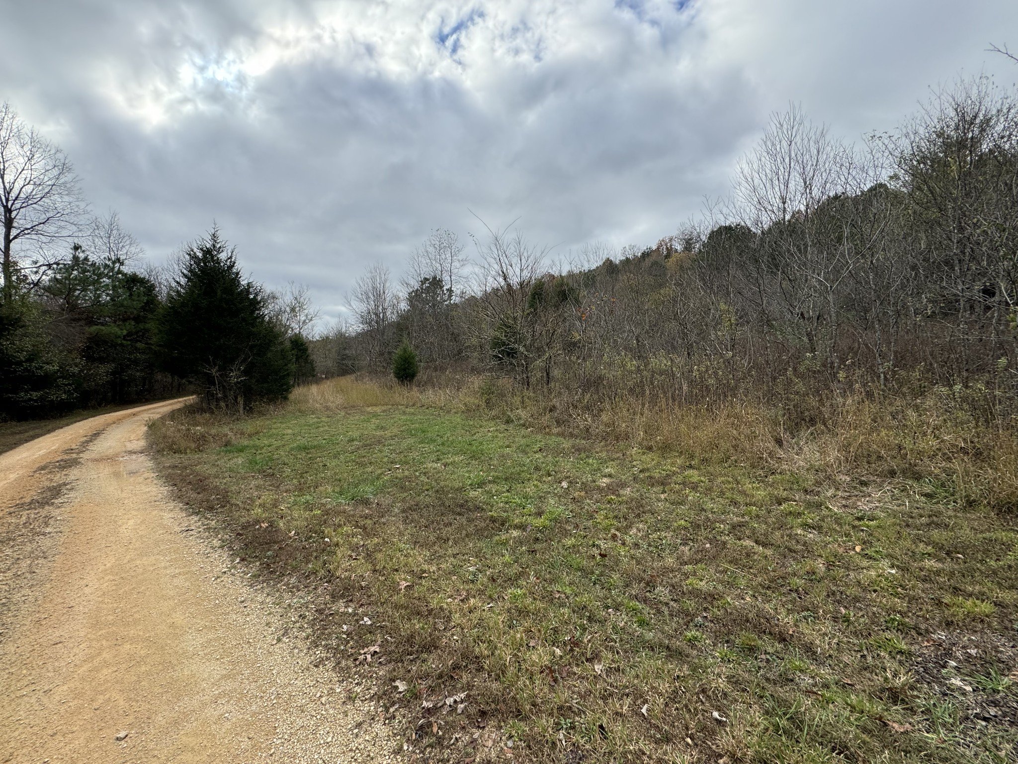 Tracy Rd, Hohenwald, TN  38462