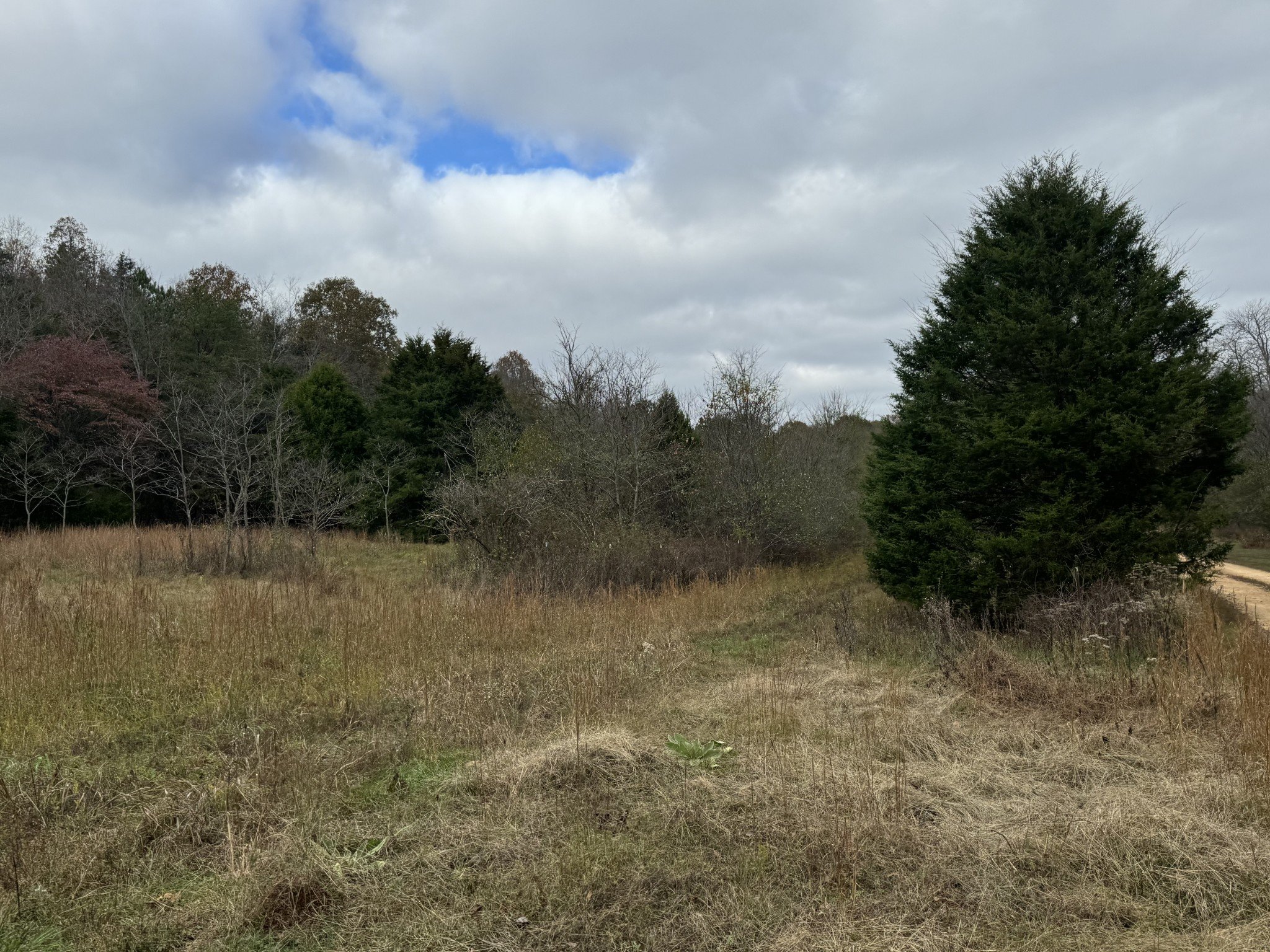 Tracy Rd, Hohenwald, TN  38462