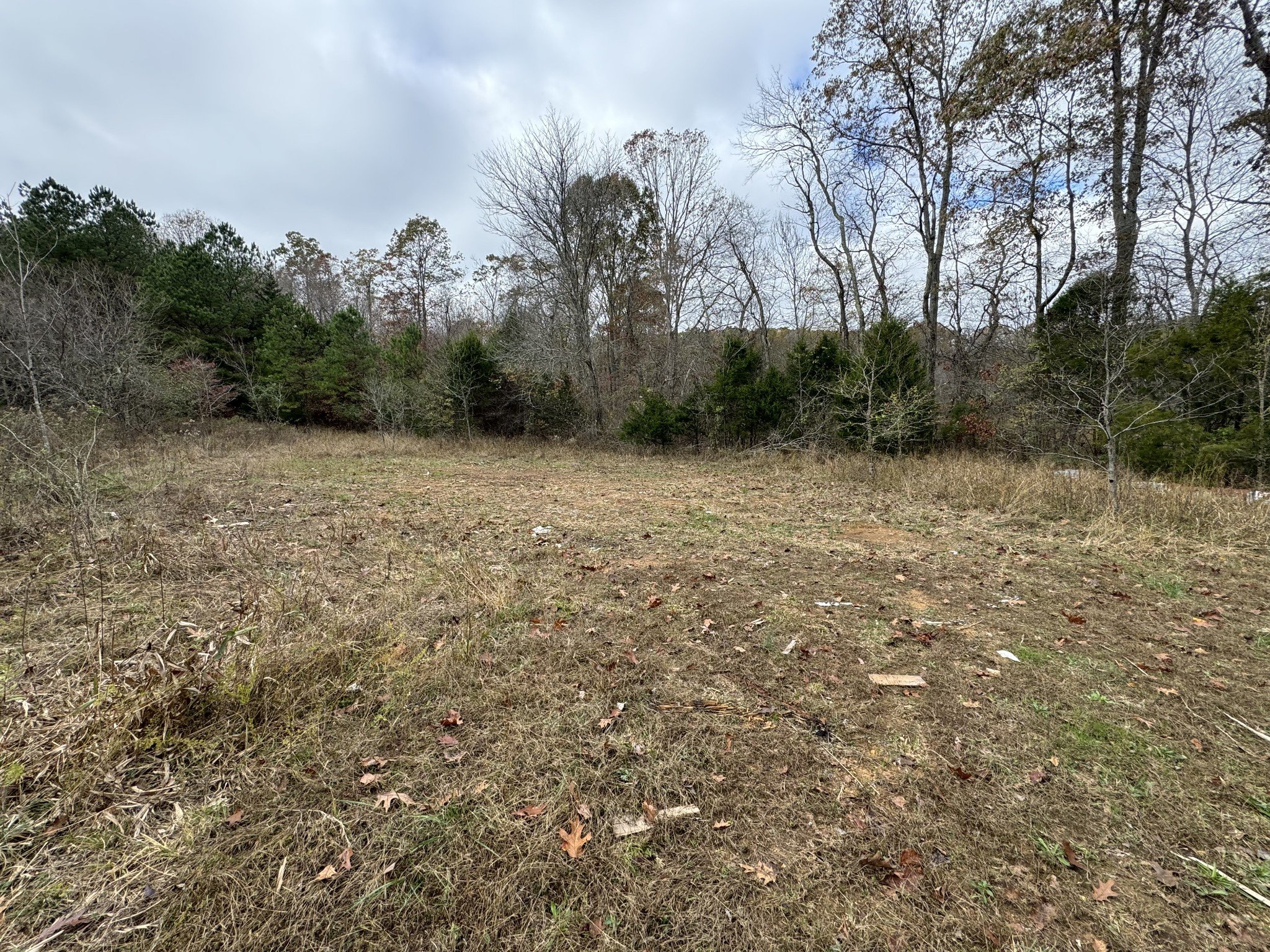 Tracy Rd, Hohenwald, TN  38462