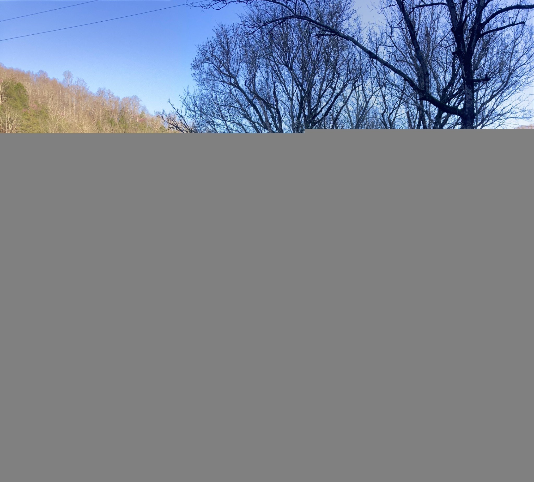 2658 Sycamore Valley Rd, Pleasant Shade, TN  37145