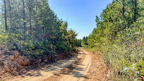 Hurricane Road, Stewart, TN  37175