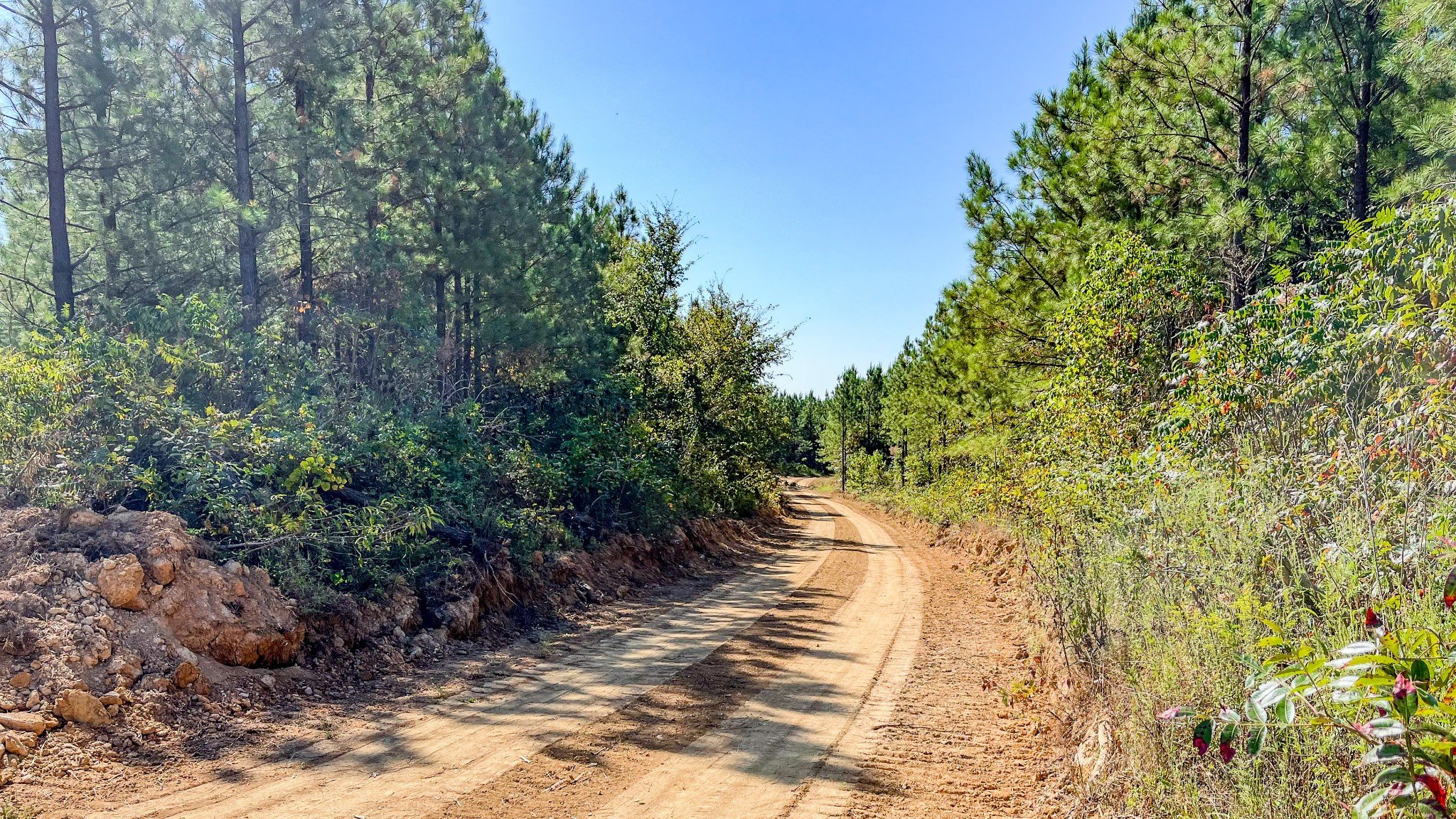 Hurricane Road, Stewart, TN  37175