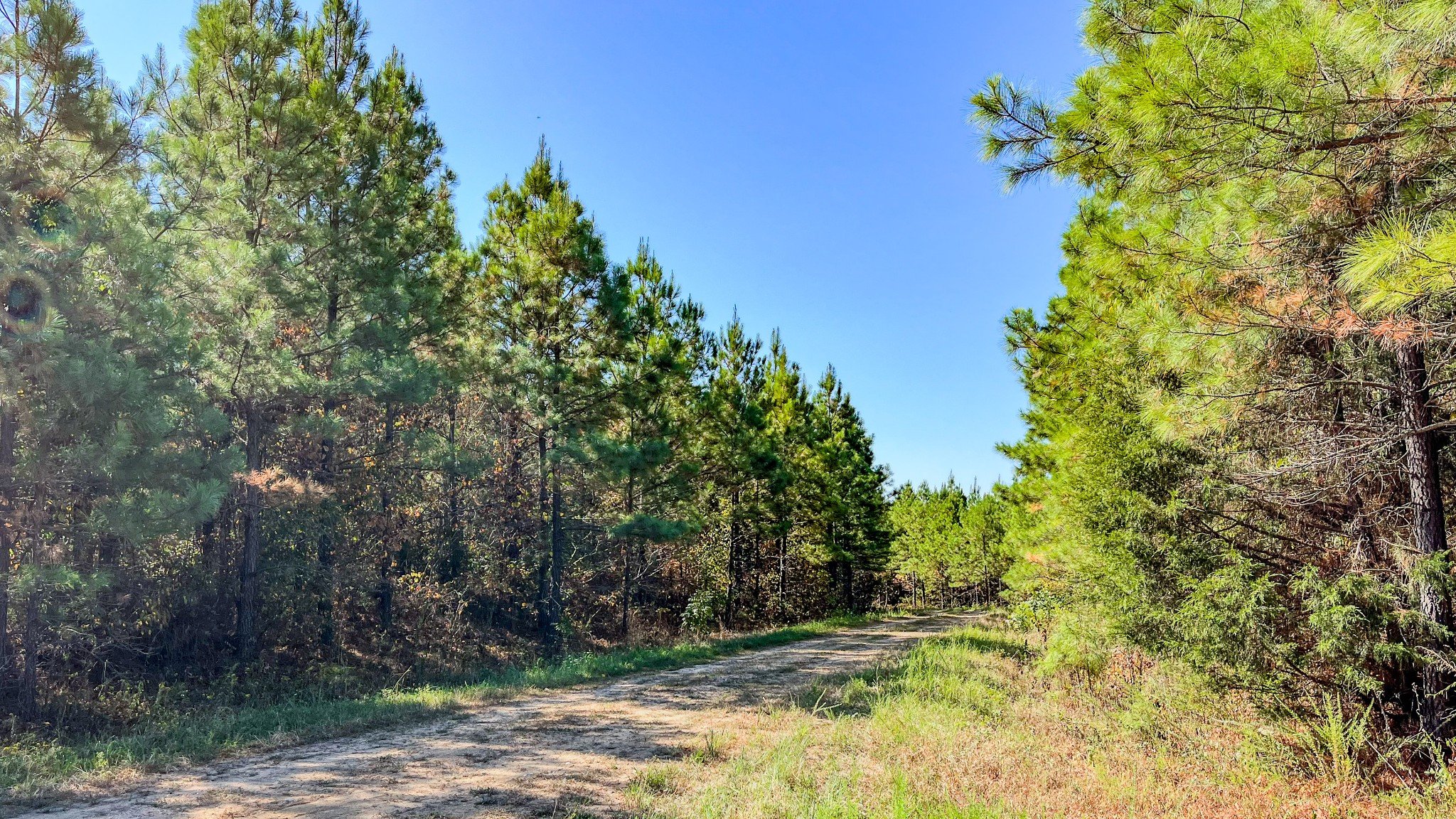 Hurricane Road, Stewart, TN  37175