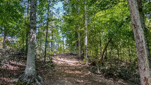 Hurricane Road, Stewart, TN  37175