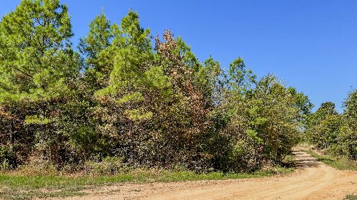 Hurricane Road, Stewart, TN  37175