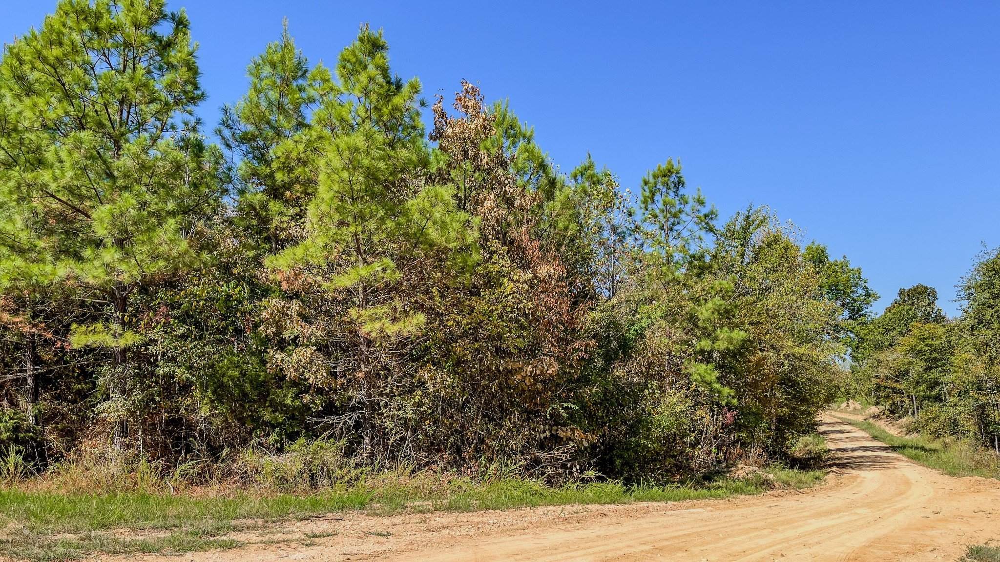 Hurricane Road, Stewart, TN  37175