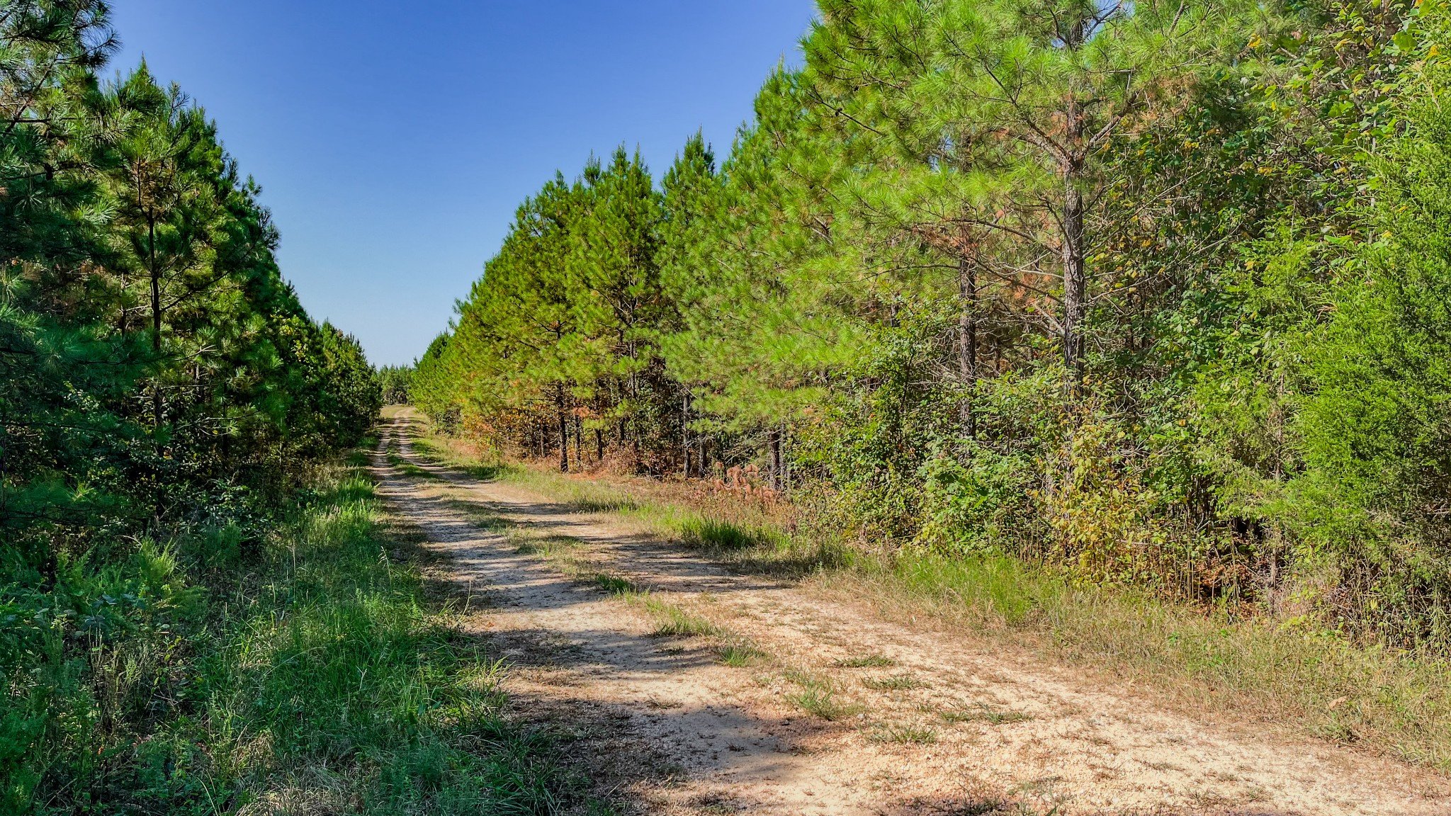 Hurricane Road, Stewart, TN  37175