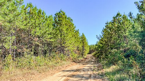 Hurricane Road, Stewart, TN  37175