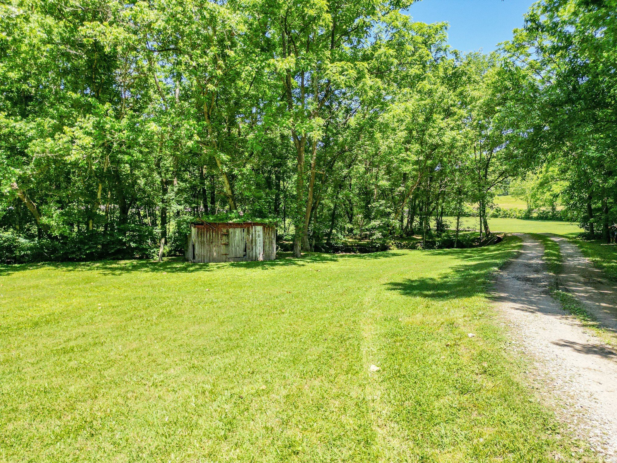 804 Ball Hollow Branch Rd, Lynnville, TN  38472