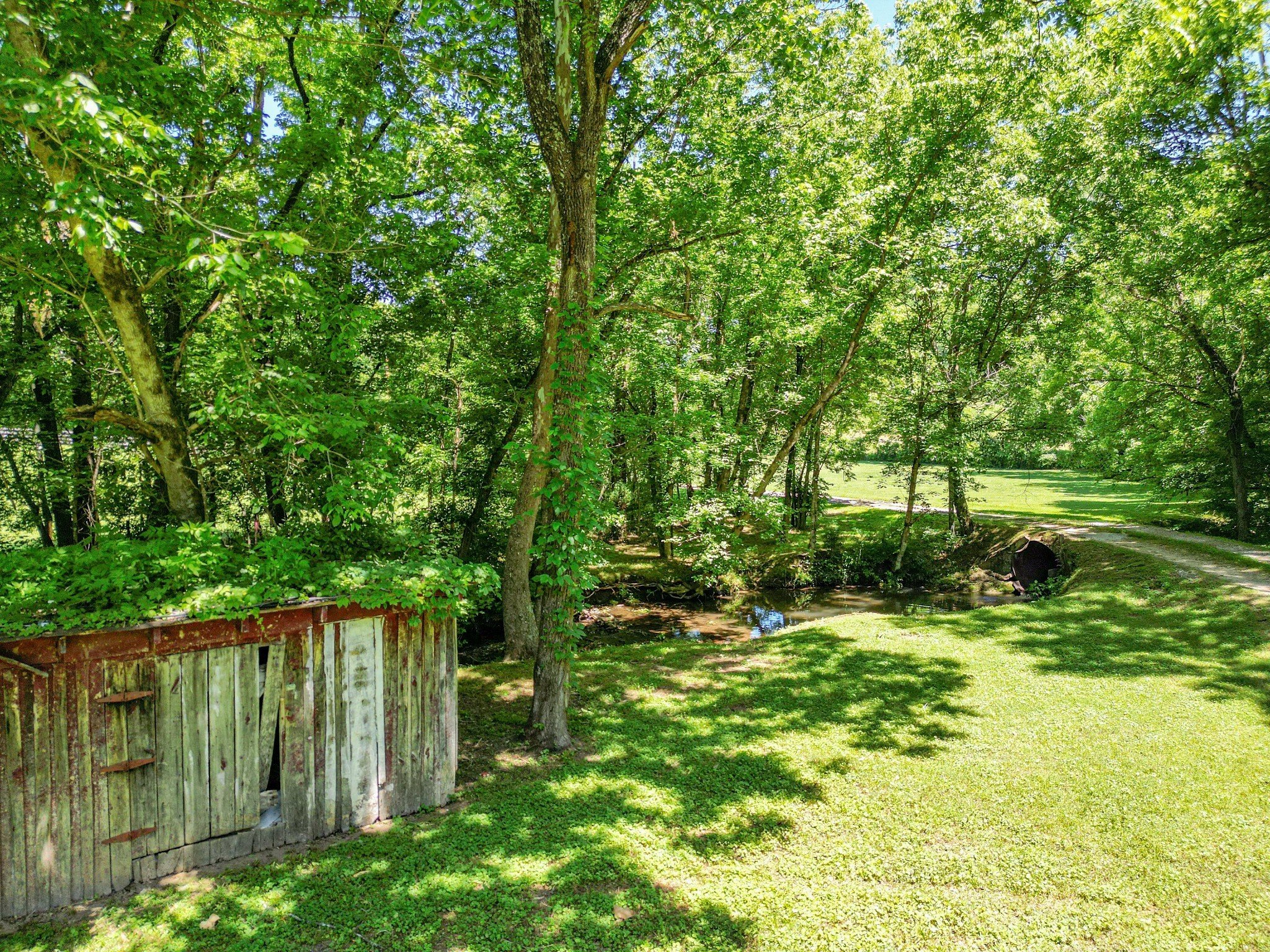 804 Ball Hollow Branch Rd, Lynnville, TN  38472