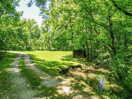 804 Ball Hollow Branch Rd, Lynnville, TN  38472