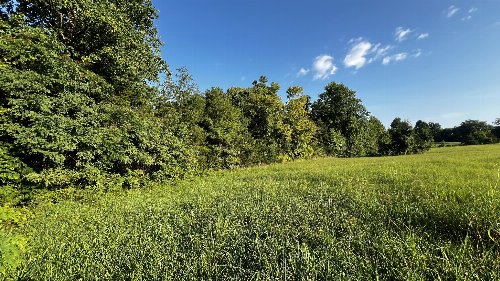 Union Ridge Rd, Wartrace, TN  37183