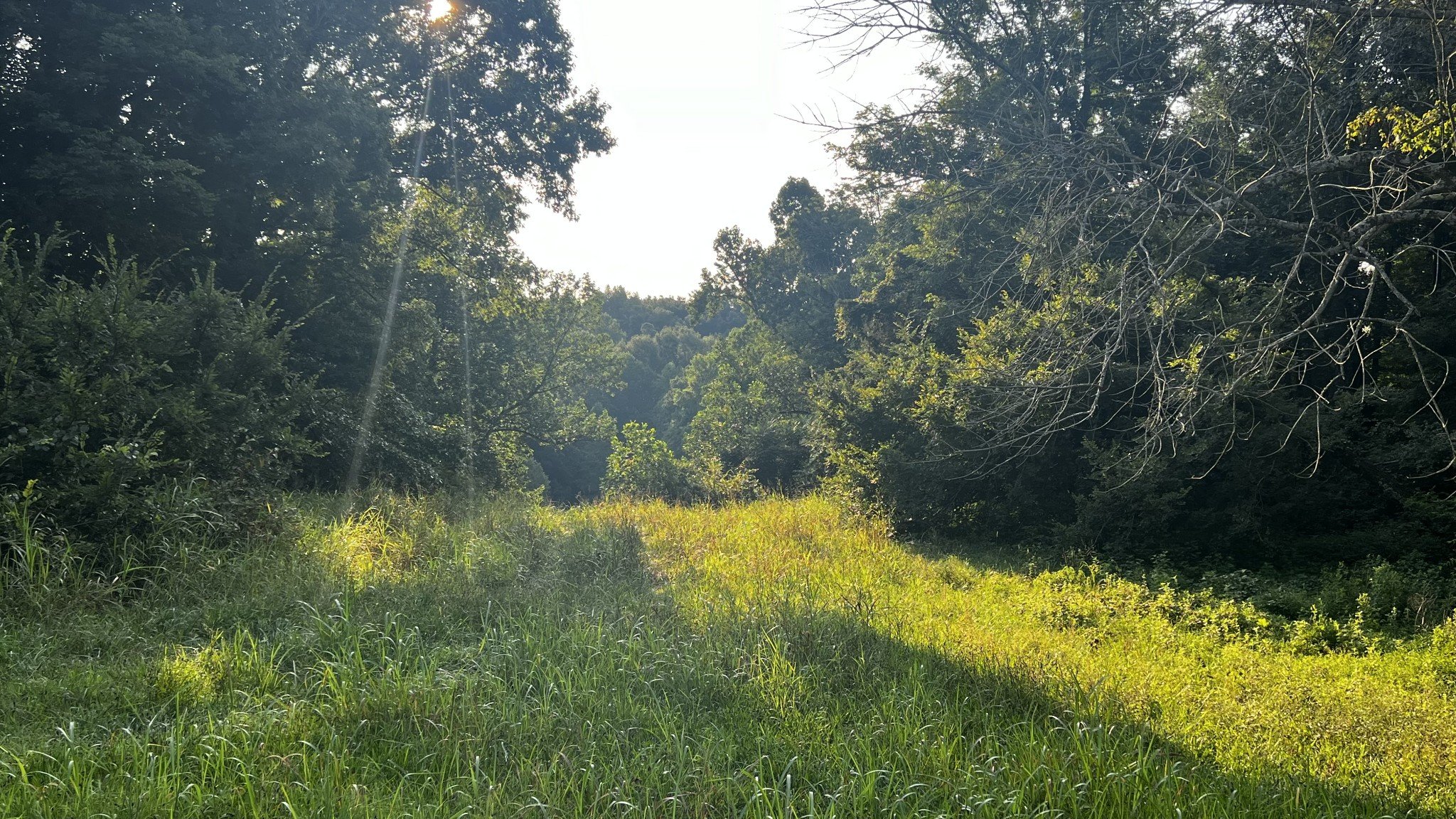 Union Ridge Rd, Wartrace, TN  37183