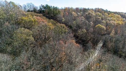 Moccasian Creek Rd, Waynesboro, TN  38485