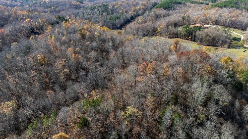 Moccasian Creek Rd, Waynesboro, TN  38485