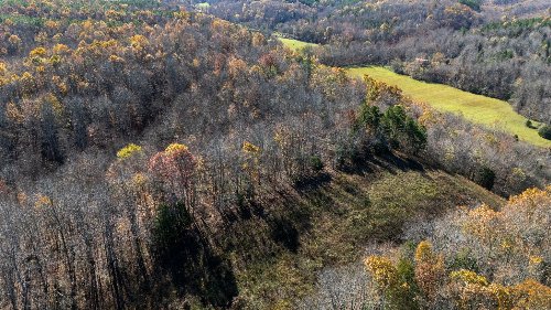 Moccasian Creek Rd, Waynesboro, TN  38485