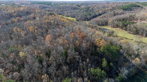 Moccasian Creek Rd, Waynesboro, TN  38485