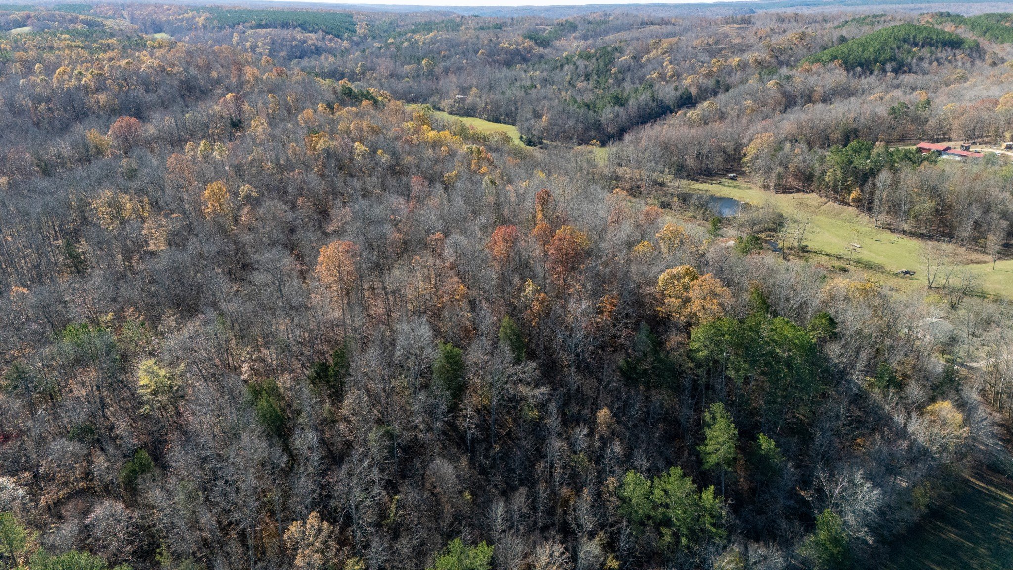 Moccasian Creek Rd, Waynesboro, TN  38485