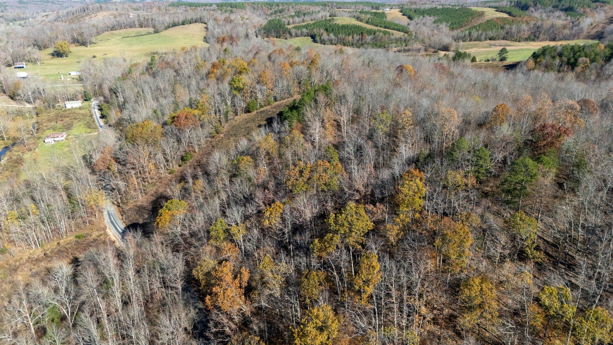 Moccasian Creek Rd, Waynesboro, TN  38485