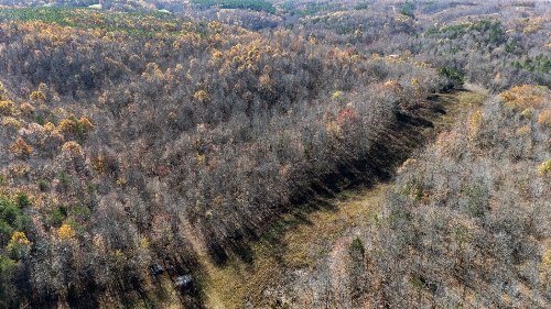 Moccasian Creek Rd, Waynesboro, TN  38485