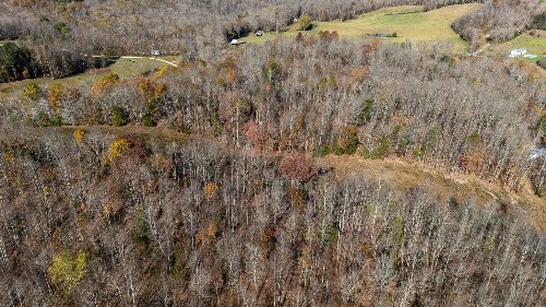 Moccasian Creek Rd, Waynesboro, TN  38485