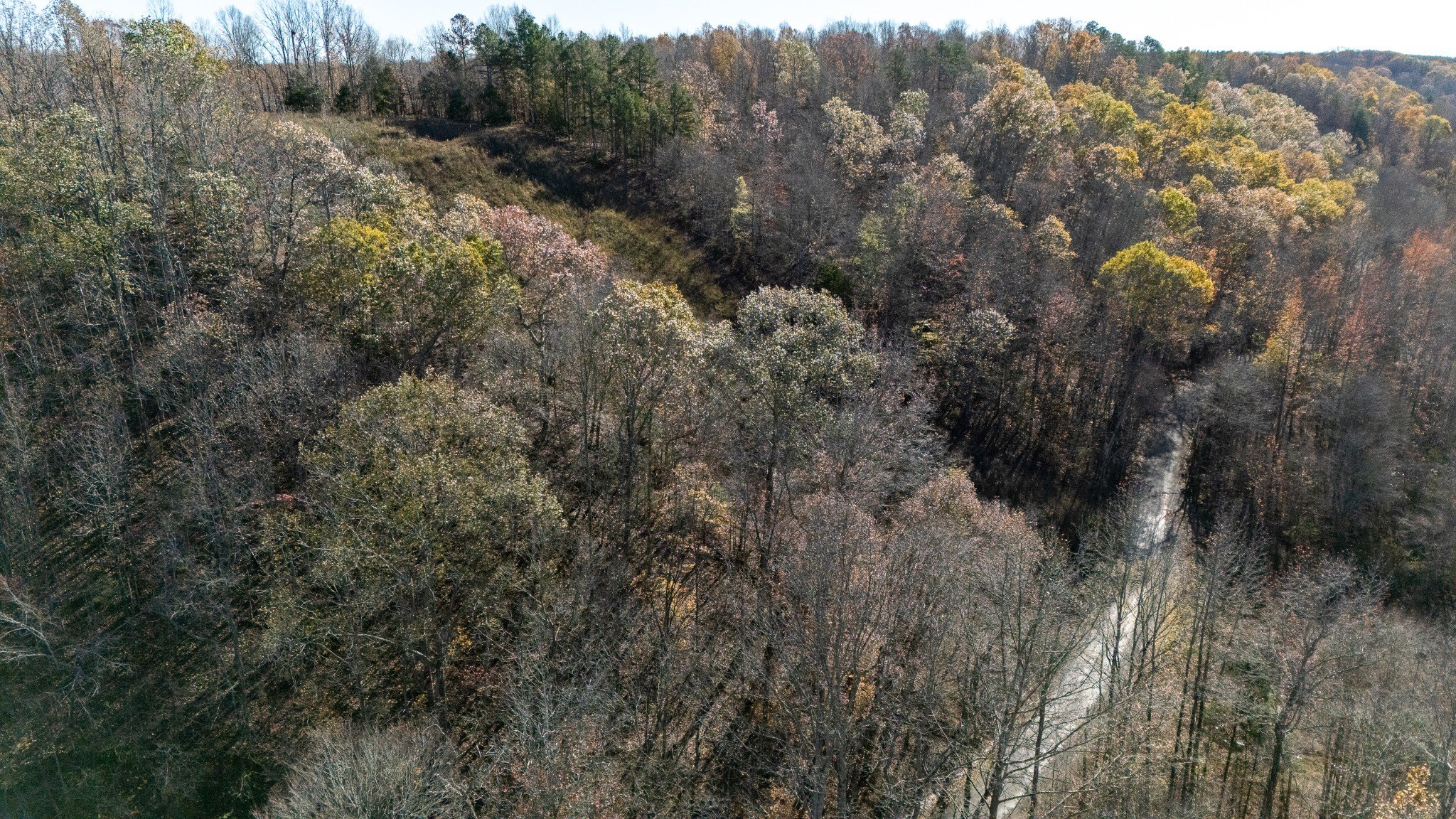 Moccasian Creek Rd, Waynesboro, TN  38485