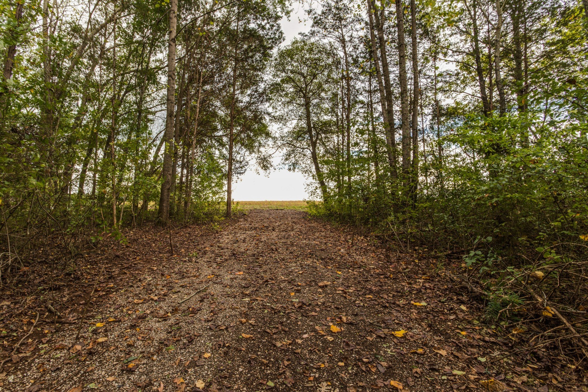 Billy Goat Hill Rd, Winchester, TN  37398